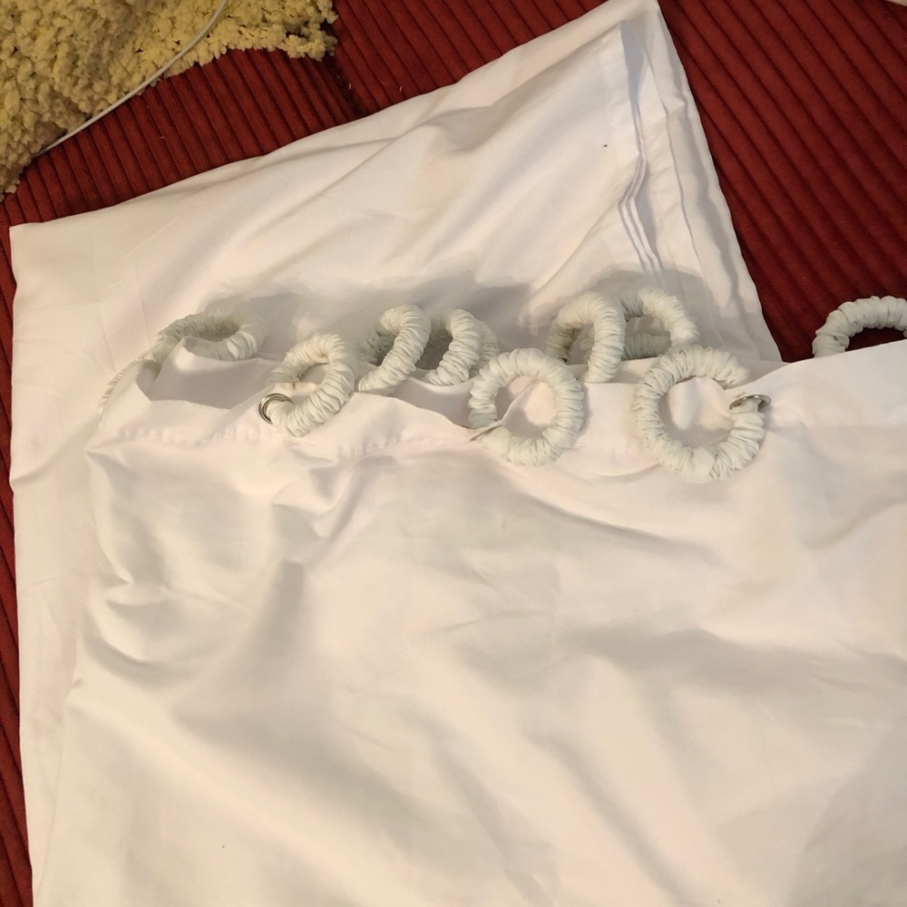 Shower curtain